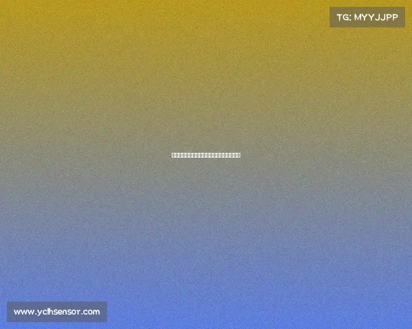 足球球员转会流程详解从谈判到注册全程解析