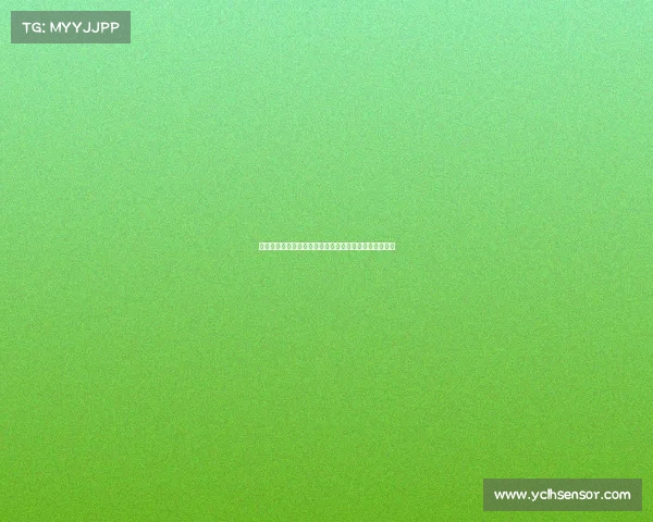 拉什福德季前赛表现亮眼展现融入曼联决心目标再度腾飞