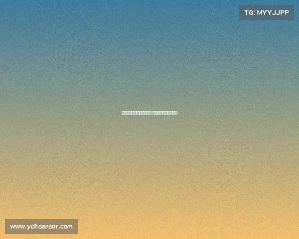 欧冠赛场迎来豪华嘉宾阵容 助力赛事更加精彩纷呈