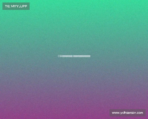 CBA球队日常训练揭秘 球员成长与战术磨合的幕后故事